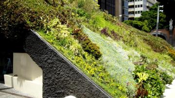 Cubierta vegetal impermeabilizada en vía pública de Granada